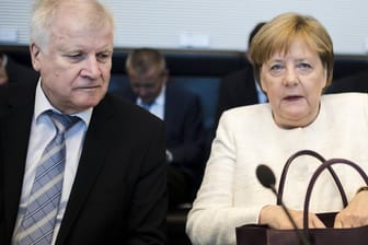 Angela Merkel und Horst Seehofer: Die Union ist in einer Umfrage auf 29 Prozent abgerutscht.