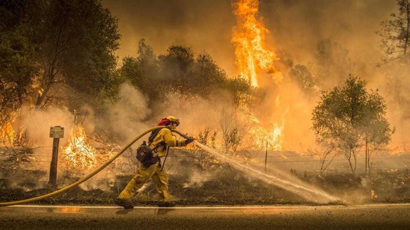 Die verheerenden Waldbrände in Kalifornien haben mindestens 500 Häuser zerstört.