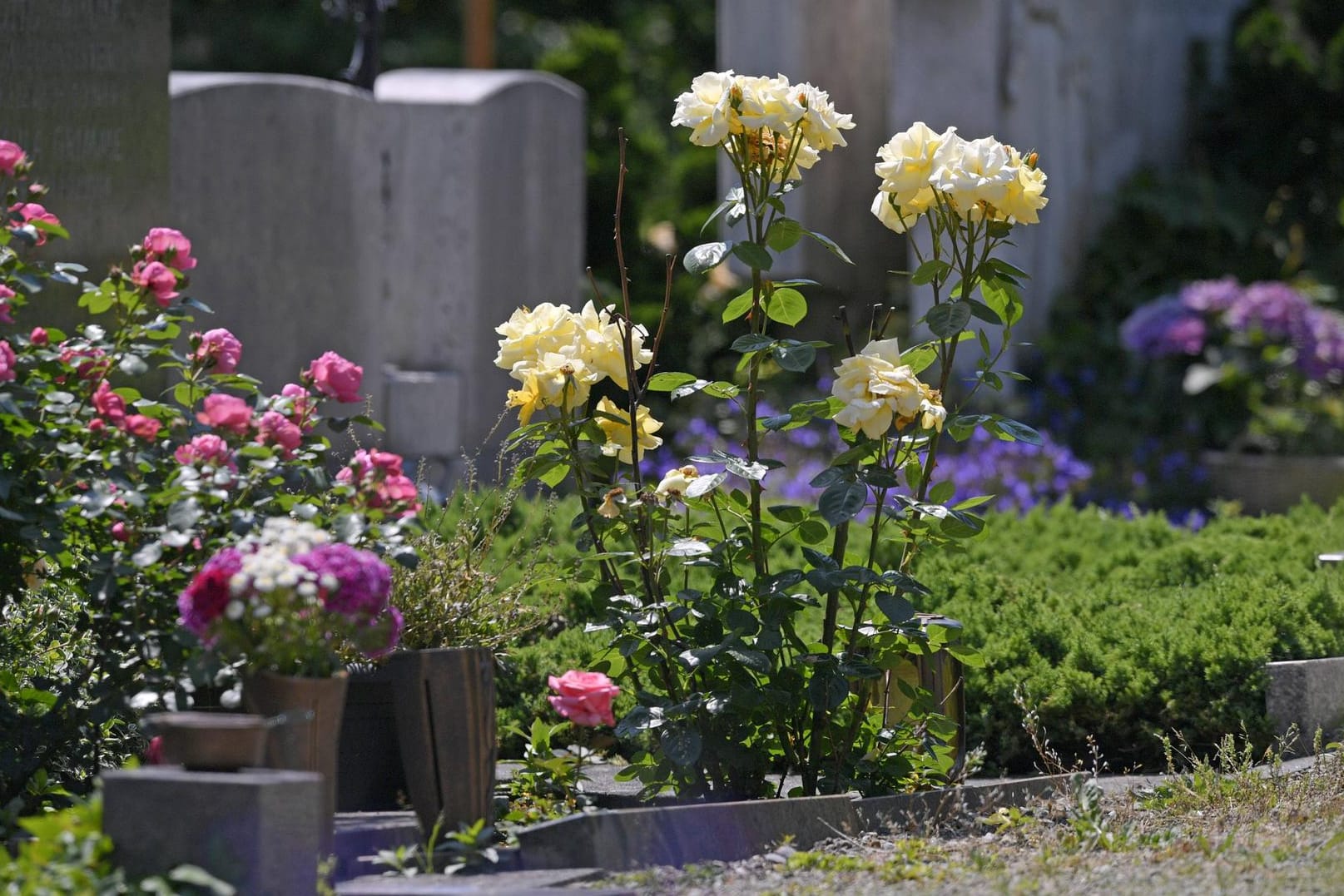 Friedhof in Bayern: Ein Besucher eines Friedhofes im Saarland hat Geräusche aus einem Grab vernommen. Er fürchtete, dass jemand lebendig begraben worden ist und alarmierte den Notruf.