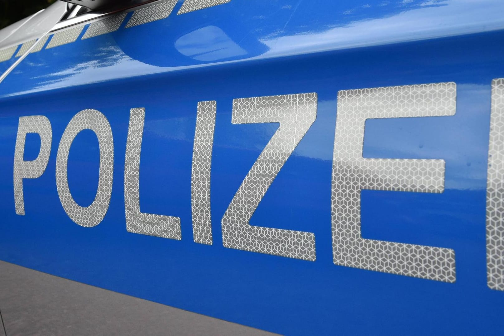 Polizeiauto: Betrunkene Männer sind offenbar in ein Haus eingebrochen. (Symbolbild)