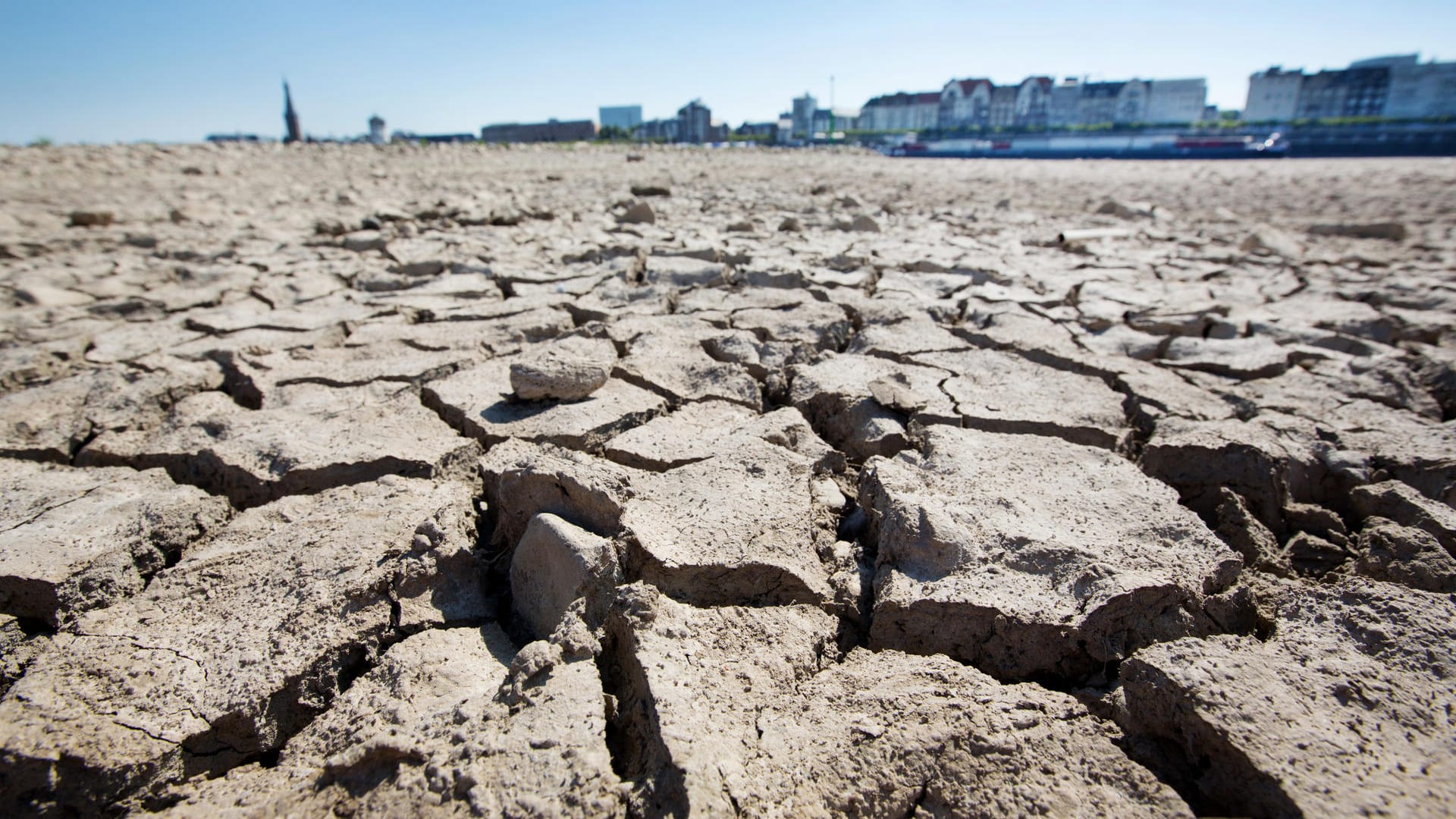 Trockener Schlamm, wo sonst der Rhein fließt: Durch die anhaltende Trockenheit sind die Wasserpegel vielerorts drastisch gesunken.