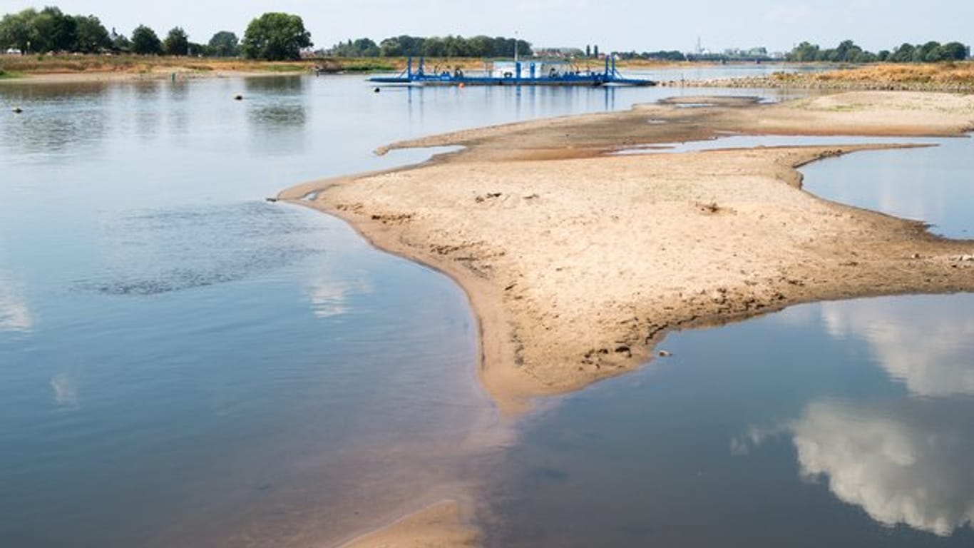 Wegen der Trockenheit führt die Elbe extrem wenig Wasser.