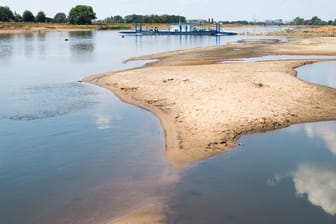 Wegen der Trockenheit führt die Elbe extrem wenig Wasser.