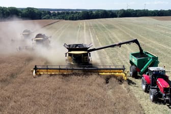 Rapsernte in Mecklenburg-Vorpommern: Eine Mehrheit der Deutschen würde gern mehr umweltfreundlichen Landbau auf den Feldern sehen.