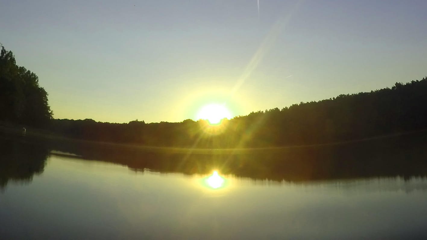 Die Sonne geht über dem Grunewald in Berlin auf: Durch die trockene Hitze bleibt die Waldbrandgefahr am Wochenende hoch.