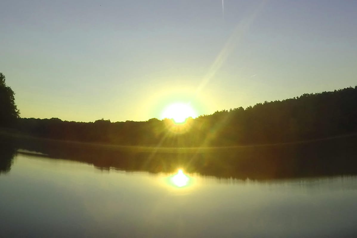 Die Sonne geht über dem Grunewald in Berlin auf: Durch die trockene Hitze bleibt die Waldbrandgefahr am Wochenende hoch.