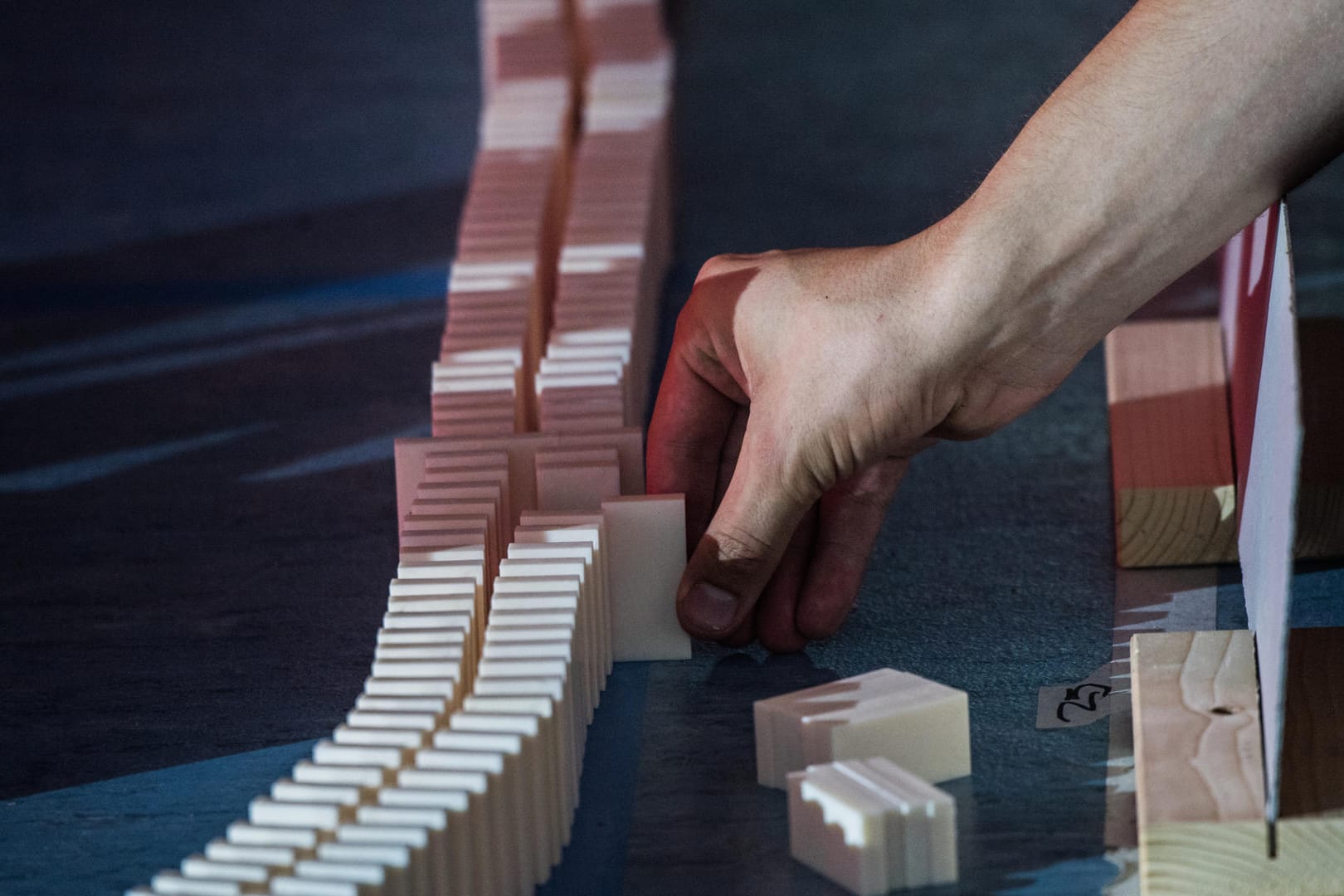 Letzte Vorbereitungen für den Domino-Rekord: Trotz des Missgeschicks mit einer Fliege gelangen der deutsche Domino-Rekord und drei von fünf angepeilten Weltrekorden.
