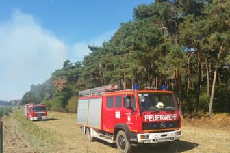 Feuerwehr im Einsatz: Etwa 120 Feuerwehrkräfte aus Deutschland und den Niederlanden bekämpfen einen Waldbrand in Straelen.