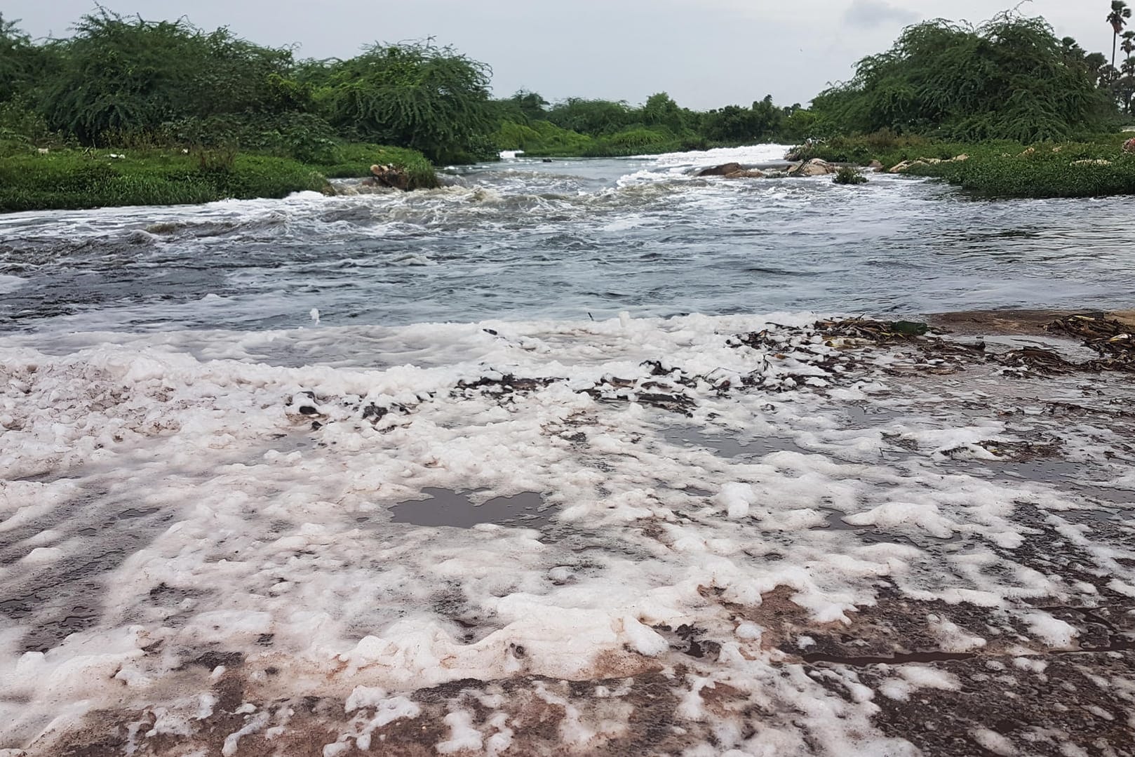 Im Musi-Fluss im südindischen Ort Edulabad bildet sich Schaum im Wasser: In der nahe gelegenen Metropole Hyderabad werden Antibiotika und andere Medikamente für den Export unter anderem nach Europa hergestellt.