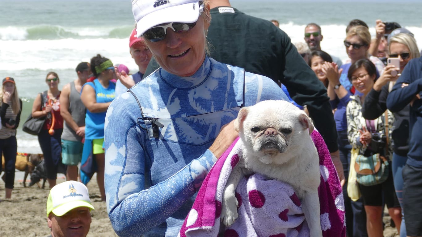 Alecia Nelson trocknet ihren Hund Gidget nach dem Wettbewerb: Gidget räumte am Samstag gleich drei Medaillen ab.