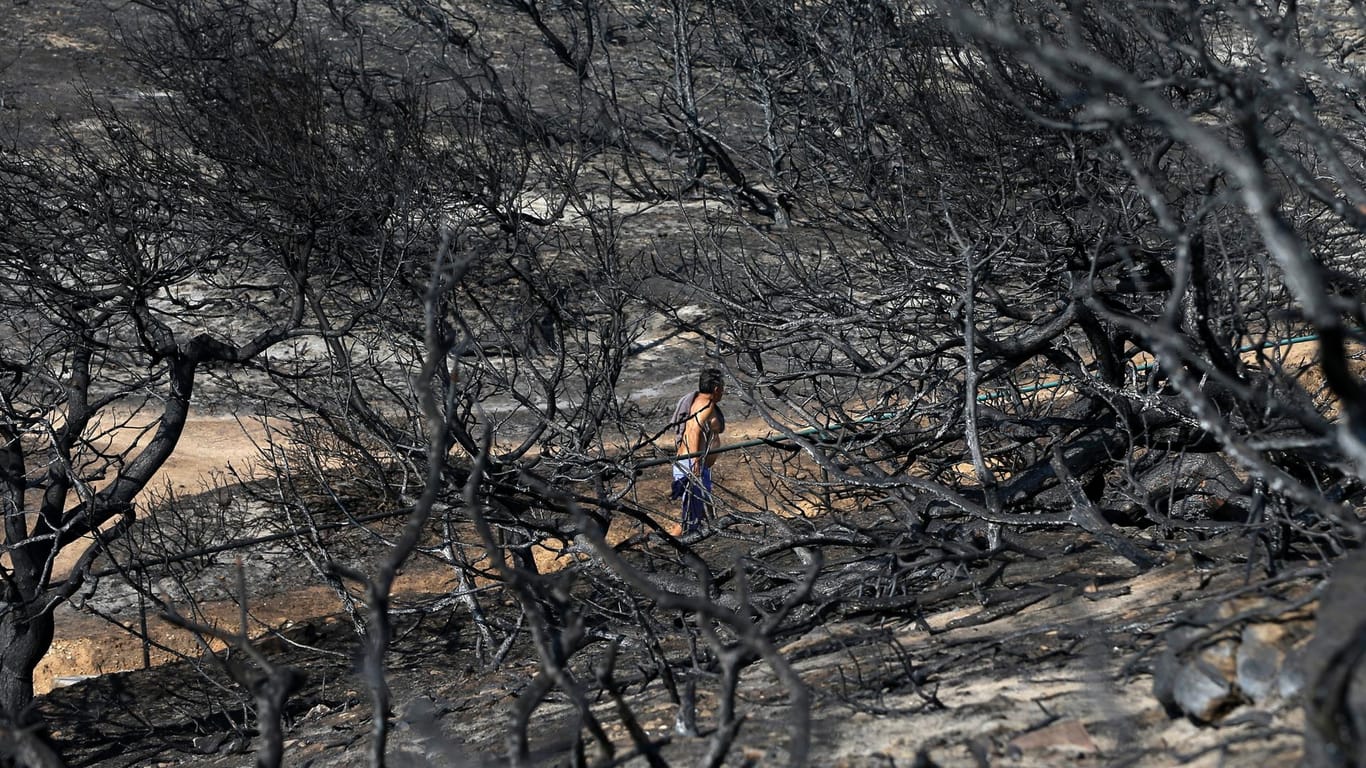 Ein Mann geht durch einen abgebrannten Waldabschnitt am Strand in der griechischen Region Rafina: Der bei Urlaubern beliebte Küstenort war besonders stark betroffen. (Archivbild)