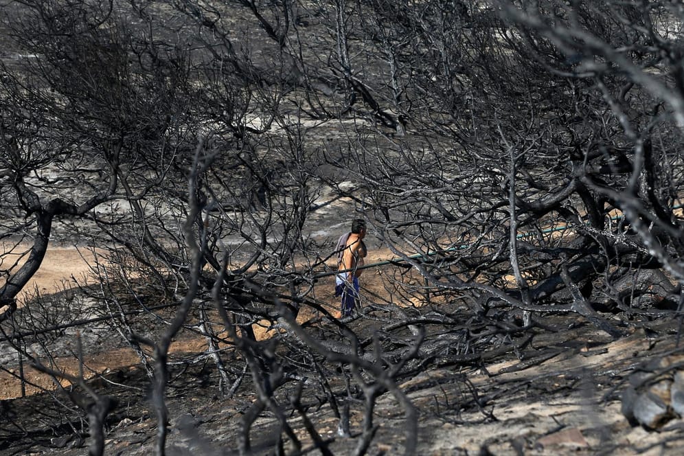 Ein Mann geht durch einen abgebrannten Waldabschnitt am Strand in der griechischen Region Rafina: Der bei Urlaubern beliebte Küstenort war besonders stark betroffen. (Archivbild)