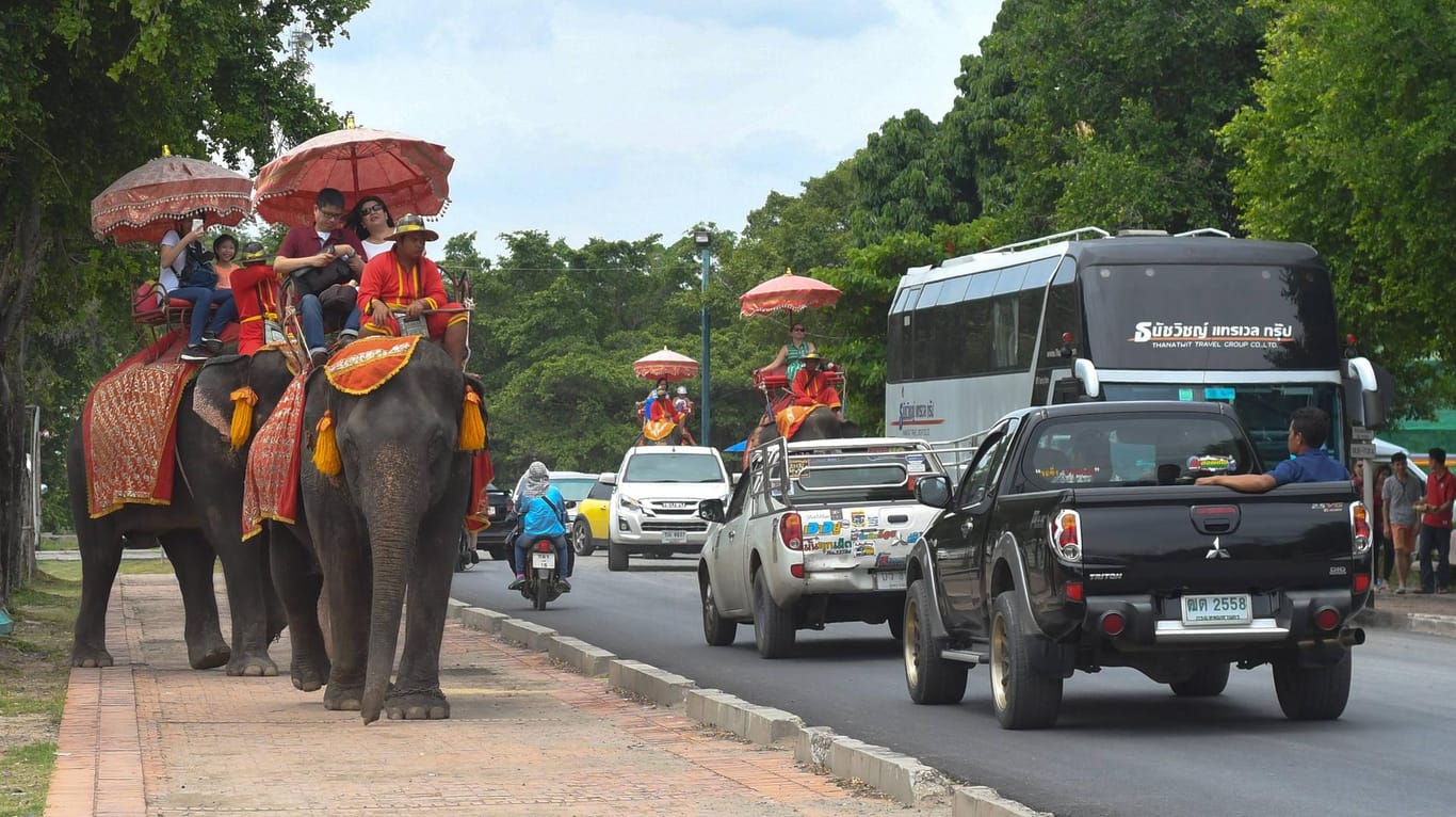 Touristen in Thailand: Auf Elefanten reiten sie über eine viel befahrene Straße.