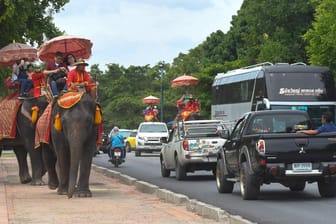 Touristen in Thailand: Auf Elefanten reiten sie über eine viel befahrene Straße.
