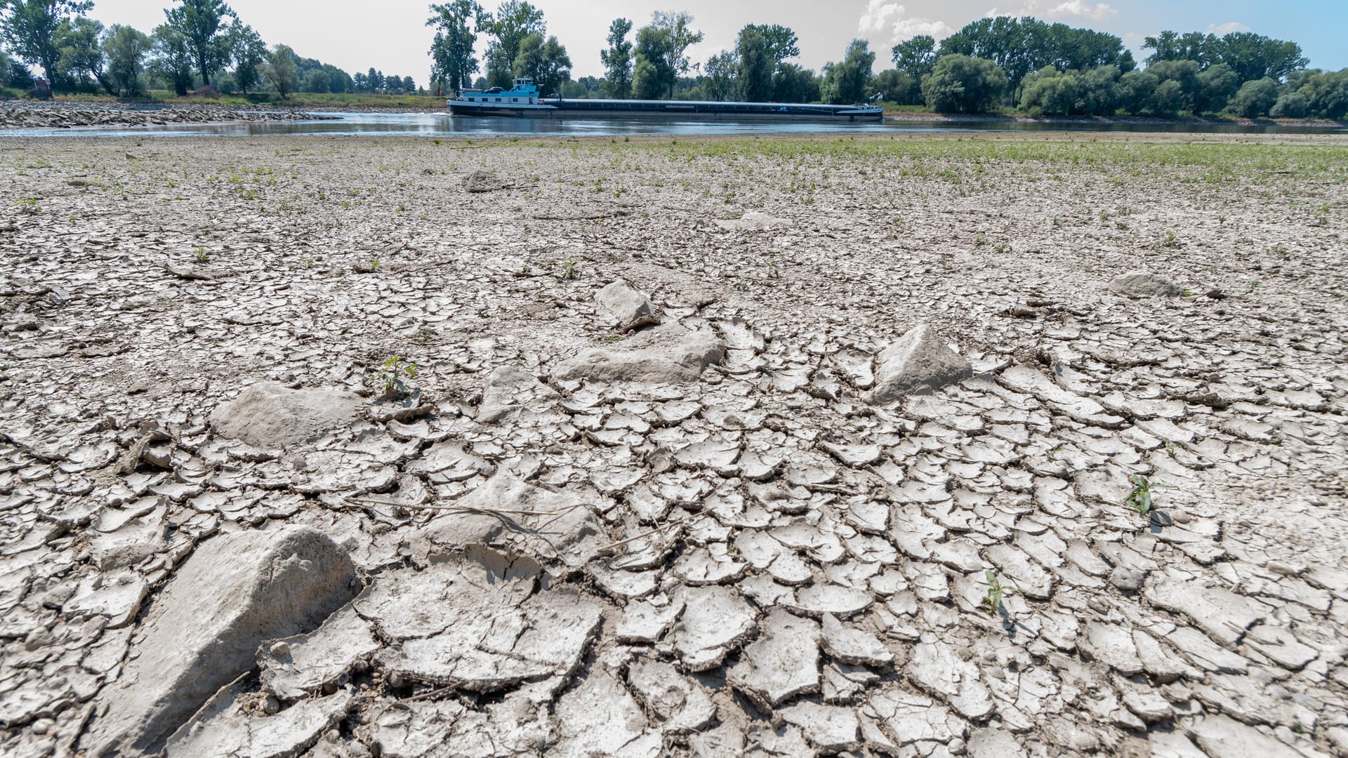 Suchbild: Die Donau (hier bei Mariaposching) hat sich weit zurückgezogen. In der Fahrrinne können Schiffe noch fahren, zwischen Straubing und Vilshofen gilt aber Beschränkung für die Ladung.