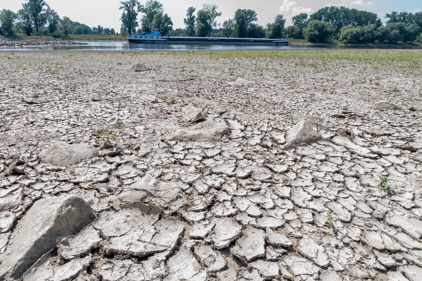 Suchbild: Die Donau (hier bei Mariaposching) hat sich weit zurückgezogen. In der Fahrrinne können Schiffe noch fahren, zwischen Straubing und Vilshofen gilt aber Beschränkung für die Ladung.