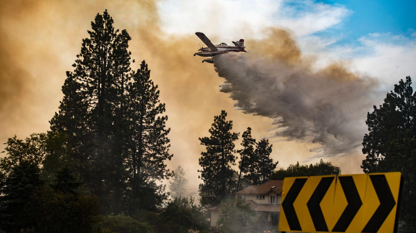 Ein Löschflugzeug lässt Wasser auf das Silver Lake Feuer im US-Bundesstaat Kalifornien ab.