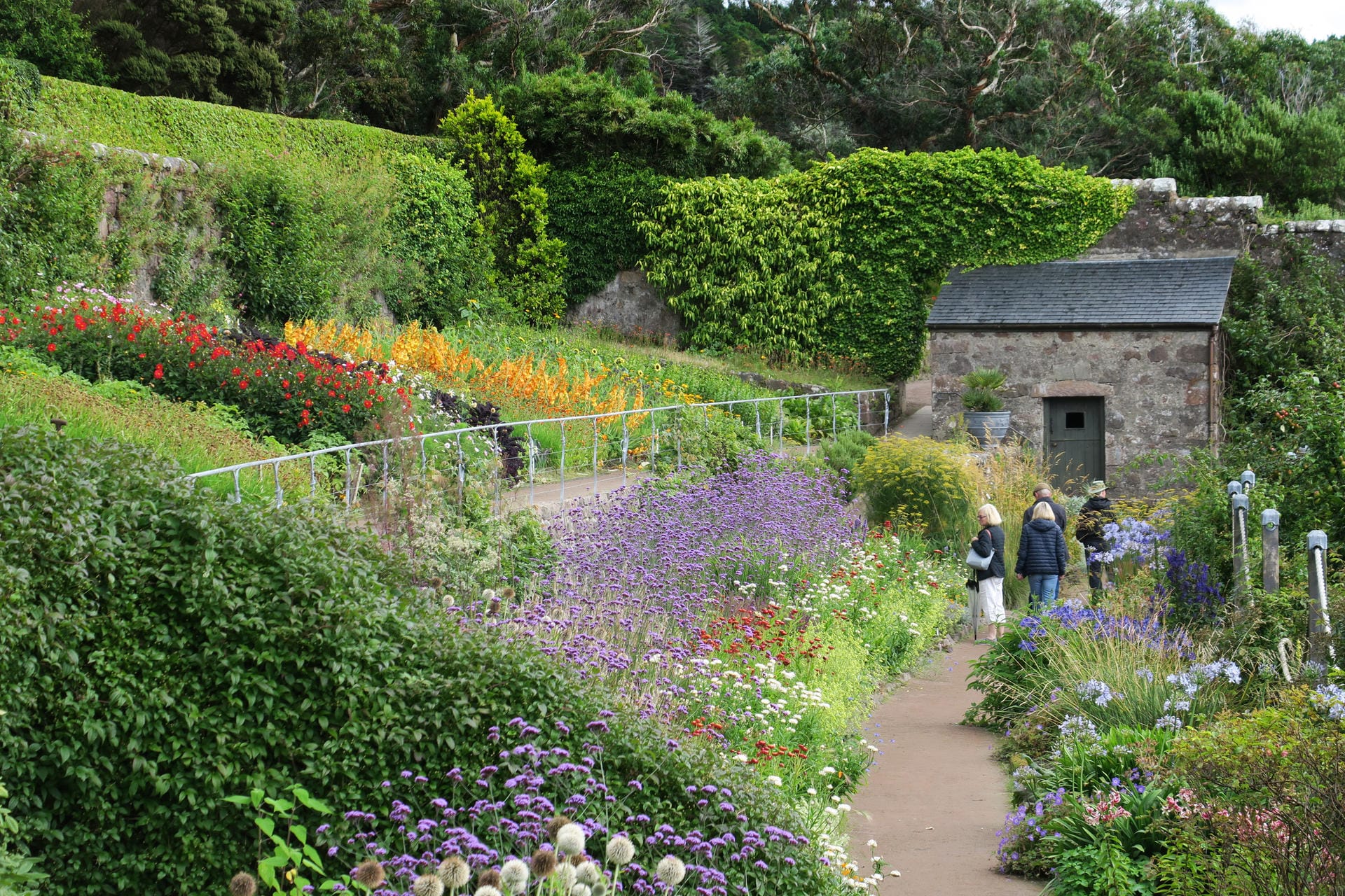 Mildes Mikroklima: Die hoch im Norden Schottlands gelegenen Gärten von Inverewe bieten im Sommer eine enorme Blütenpracht.