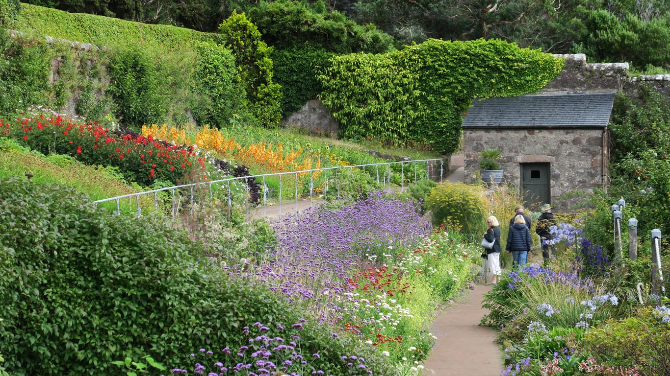 Mildes Mikroklima: Die hoch im Norden Schottlands gelegenen Gärten von Inverewe bieten im Sommer eine enorme Blütenpracht.