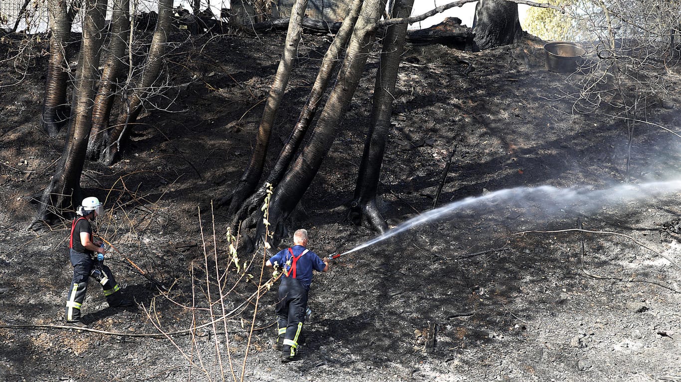 Nach dem Böschungsbrand: Feuerwehrleute löschen einen Brand an einer Bahnstrecke in Siegburg.