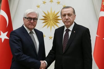 Recep Tayyip Erdogan und Frank-Walter Steinmeier