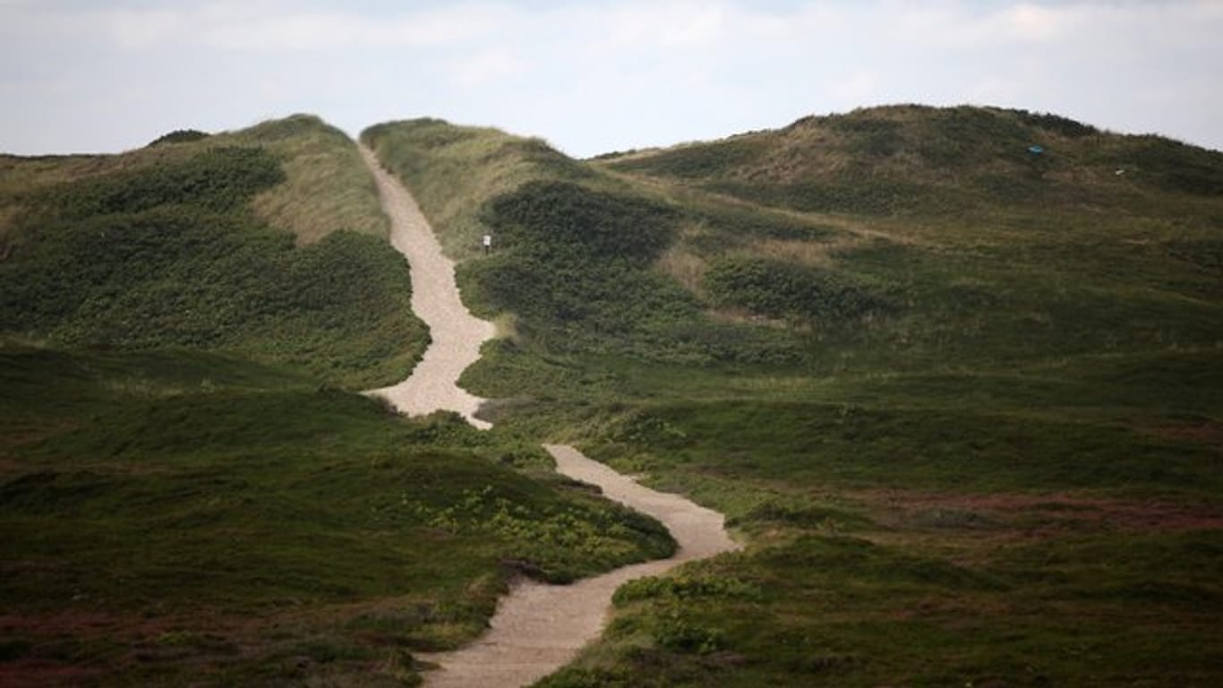 Ein Fußweg schlängelt sich durch das Naturschutzgebiet "Rantumer Dünen".