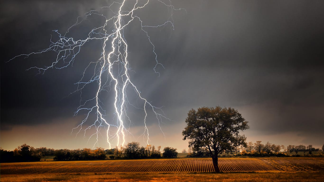 Blitzeinschlag: Wie kommt es zu Blitz und Donner und was ist, wenn man vom Blitz getroffen wird? Interessantes rund um das Sommergewitter.