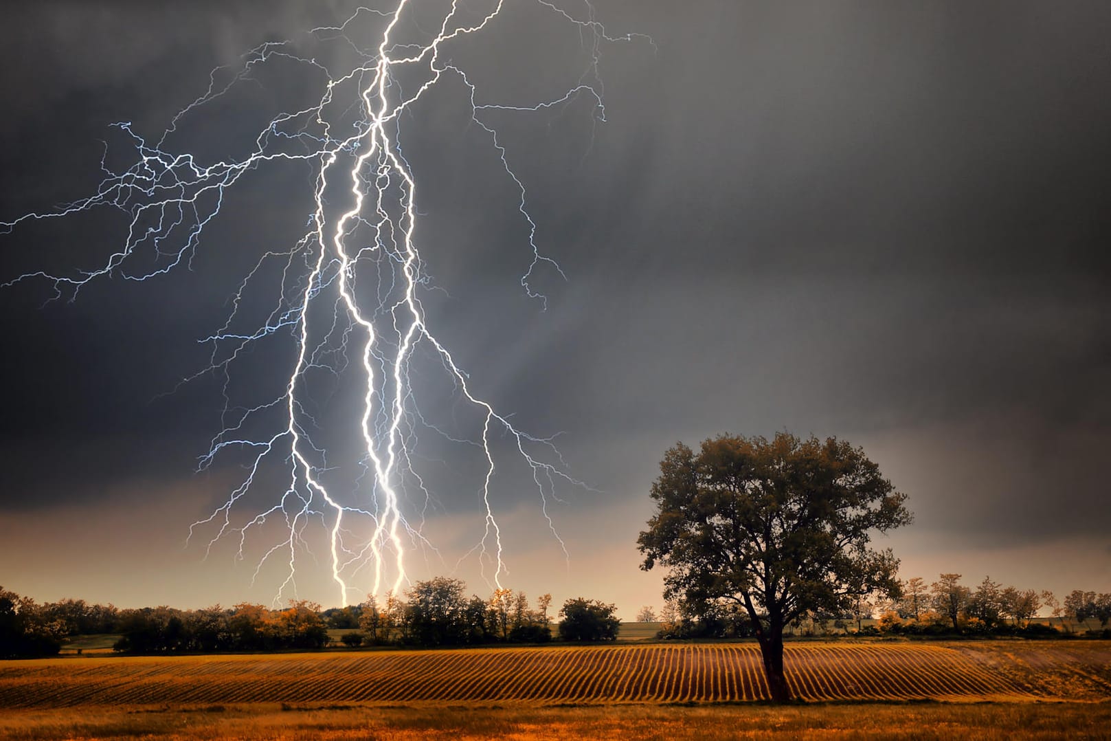 Blitzeinschlag: Wie kommt es zu Blitz und Donner und was ist, wenn man vom Blitz getroffen wird? Interessantes rund um das Sommergewitter.