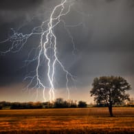 Blitzeinschlag: Wie kommt es zu Blitz und Donner und was ist, wenn man vom Blitz getroffen wird? Interessantes rund um das Sommergewitter.