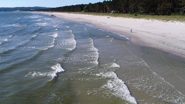 Im Jahr 2016 gelangten 11. Im Jahr 2016 gelangten 11.
