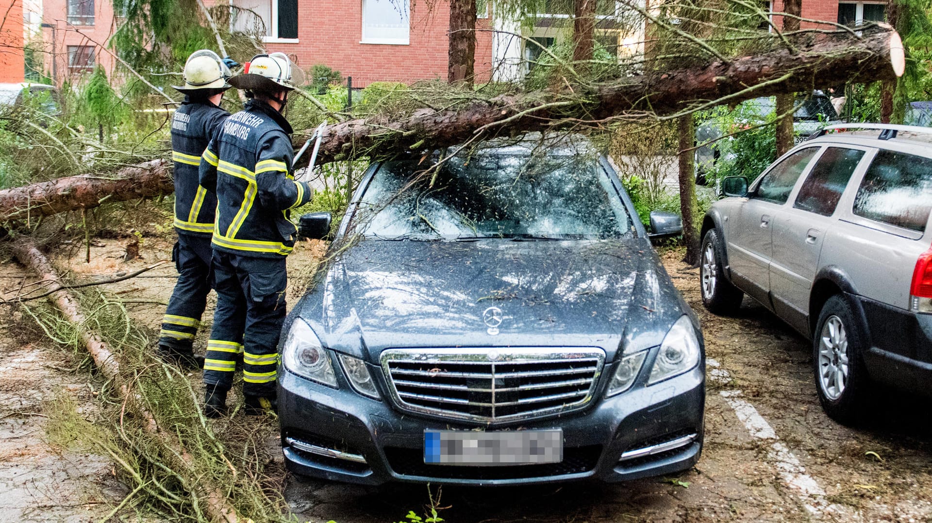 Feuerwehrleute im Einsatz in Hamburg: Umstürzende Bäume sorgten vielerorts für Schäden und Verkehrsbehinderungen.