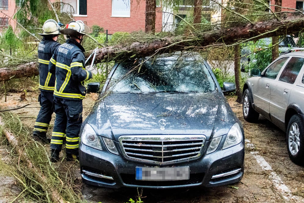 Feuerwehrleute im Einsatz in Hamburg: Umstürzende Bäume sorgten vielerorts für Schäden und Verkehrsbehinderungen.