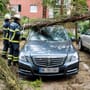 Unwetter in Deutschland: Orkanböen und Gewitter richten schwere Schäden an 