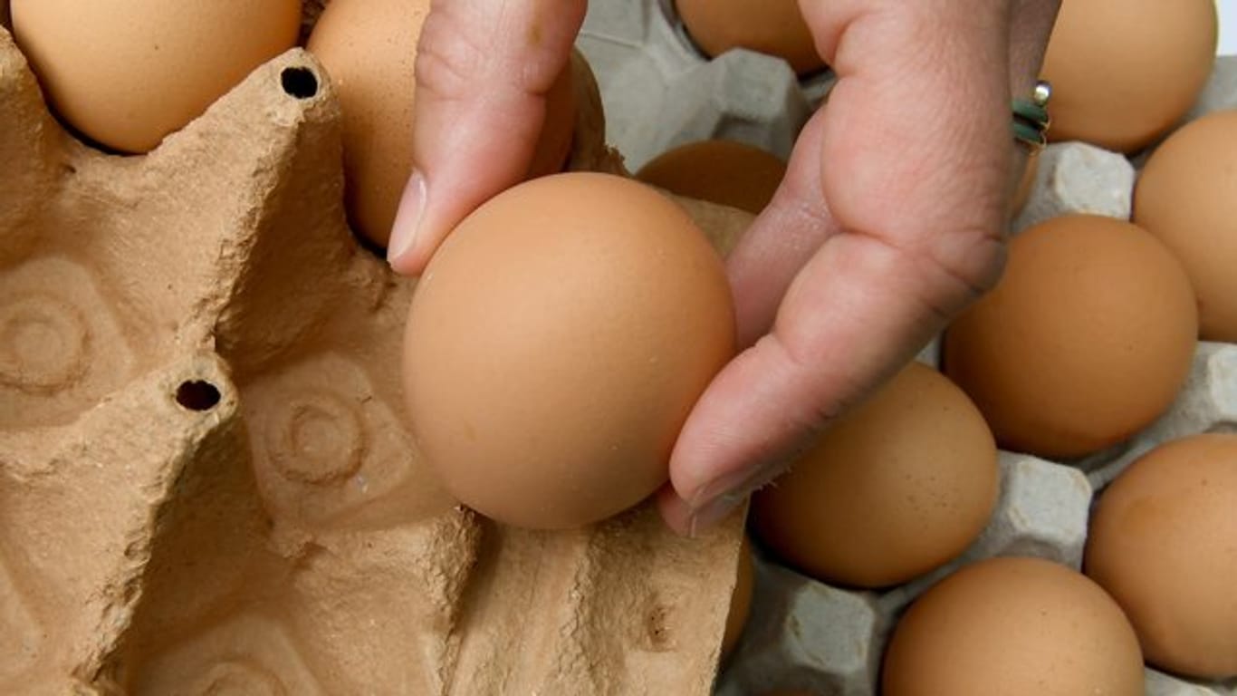 Eier in einer Pappschachtel: Auch Netto ruft Eier zurück.