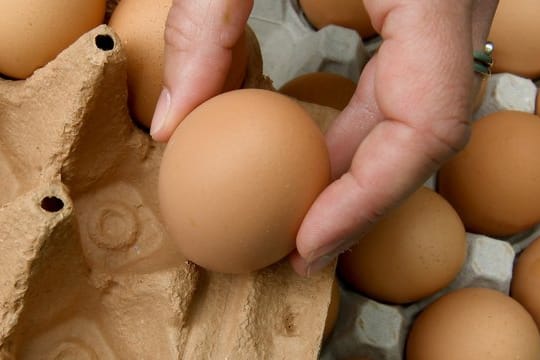 Eier in einer Pappschachtel: Auch Netto ruft Eier zurück.