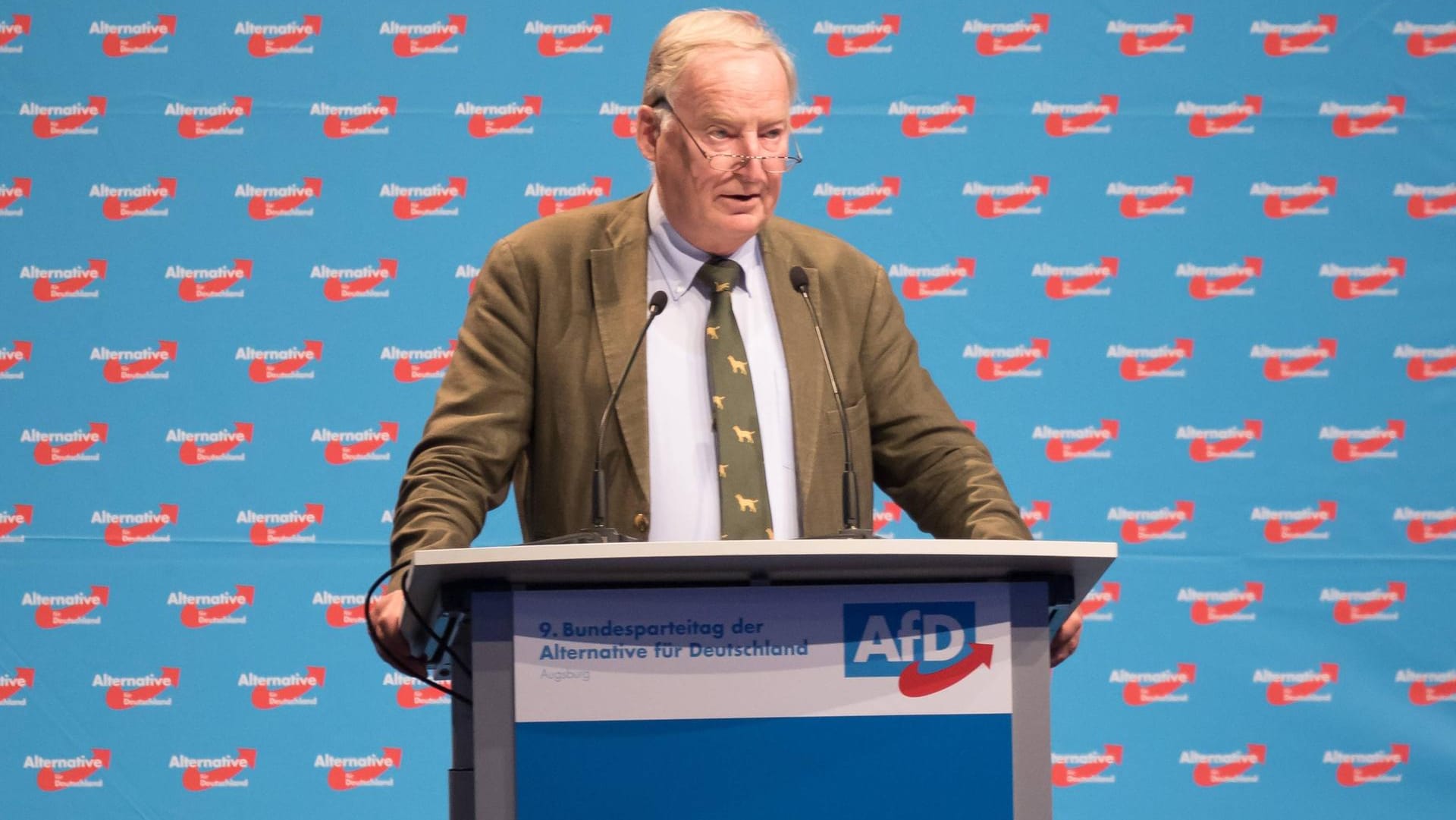 Alexander Gauland: Im Bundestagswahlkampf 2017 fiel der Fraktionsvorsitzende mir rassistischen Äußerungen aus.