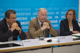 Eine Pressekonferenz der Alternative für Deutschland (AfD): v.l. Stephan Brandner, Alexander Gauland und Beatrix von Storch.