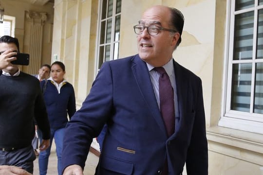 Die venezolanische Regierung hat den Oppositionsführer Julio Borges weltweit zur Fahndung ausgeschrieben.