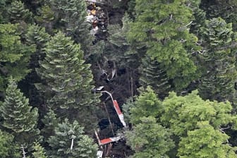 Das Wrack des abgestürzten Hubschraubers liegt in einem Wald in der zentraljapanischen Präfektur Gunma.