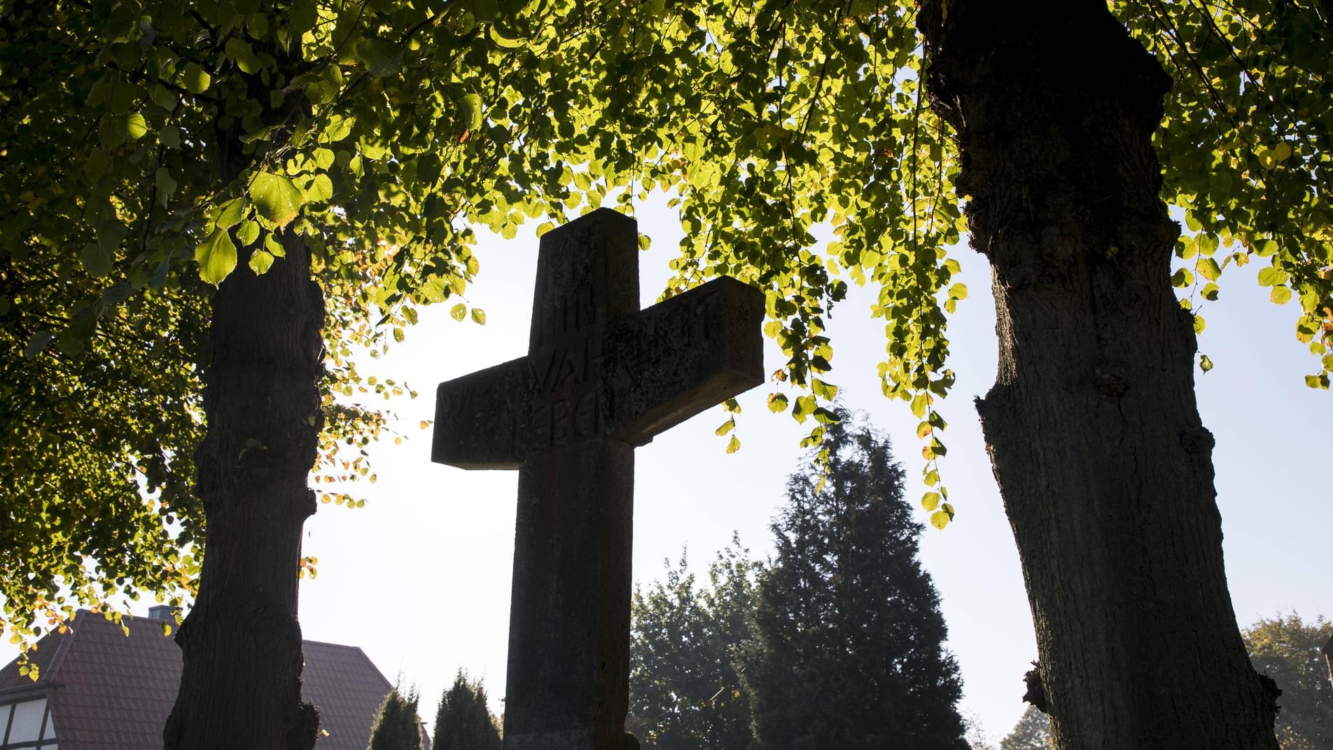 Ein großes Grabkreuz: In München ist eine Leiche nahe eines Friedhofs gefunden worden. Die Polizei geht von einem Verbrechen aus. Ein großes Grabkreuz: In München ist eine Leiche nahe eines Friedhofs gefunden worden. Die Polizei geht von einem Verbrechen aus.