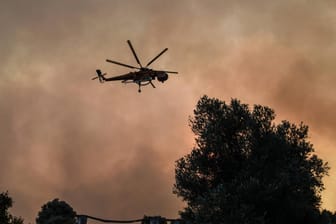 Großaufgebot der Feuerwehr auf der Insel Euböa: Zwei Dörfer mussten evakuiert werden.