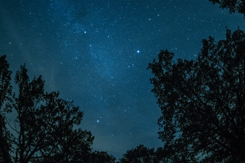 Die Milchstraße ist unweit von Prietzen in Brandenburg am Himmel zu sehen: In der Nacht waren viele Menschen unterwegs, um den Höhepunkt des Meteorstrom der Perseiden zu sehen.