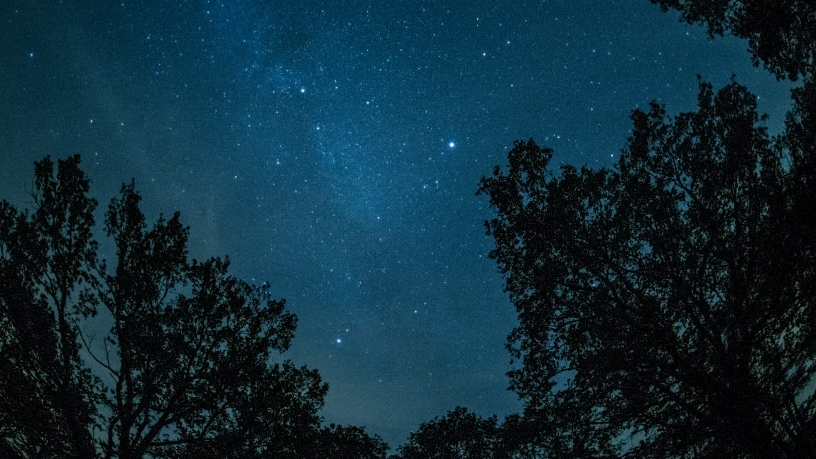 Die Milchstraße ist unweit von Prietzen in Brandenburg am Himmel zu sehen: In der Nacht waren viele Menschen unterwegs, um den Höhepunkt des Meteorstrom der Perseiden zu sehen. Die Milchstraße ist unweit von Prietzen in Brandenburg am Himmel zu sehen: In der Nacht waren viele Menschen unterwegs, um den Höhepunkt des Meteorstrom der Perseiden zu sehen.