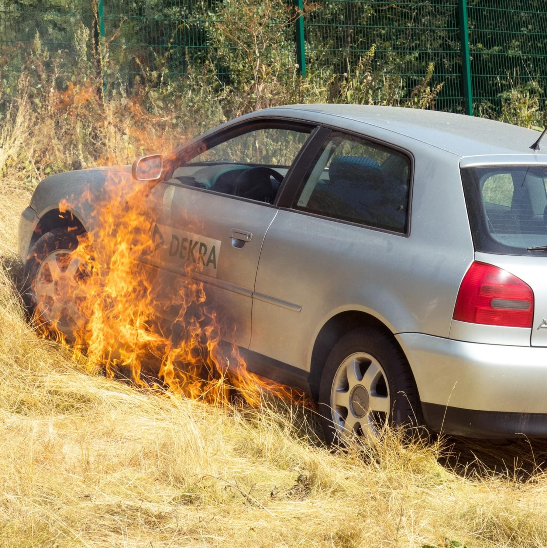 Familie Bär • Hitzefalle Auto: So schnell droht Lebensgefahr im parkenden  Fahrzeug