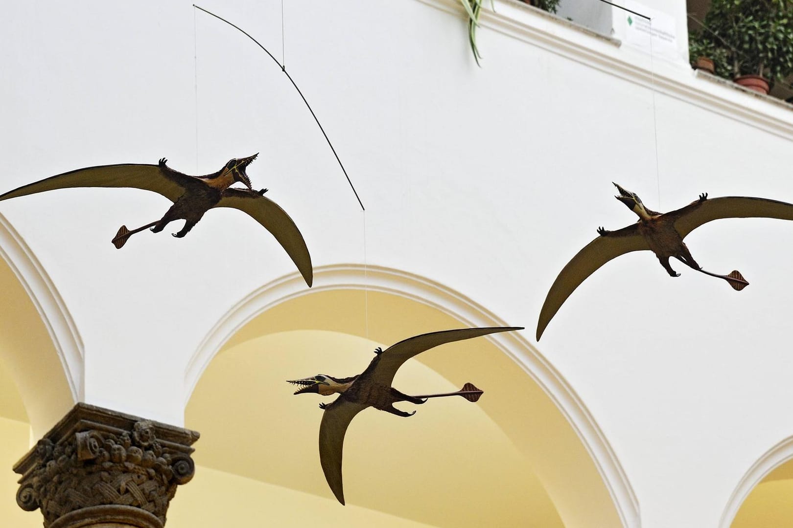 Flugsaurier-Ausstellung im Paläontologisches Museum in München: Flugsaurier tauchten vor rund 225 Millionen Jahren auf, es gab sie etwa 160 Millionen Jahre lang bis zum Ende der Kreidezeit.