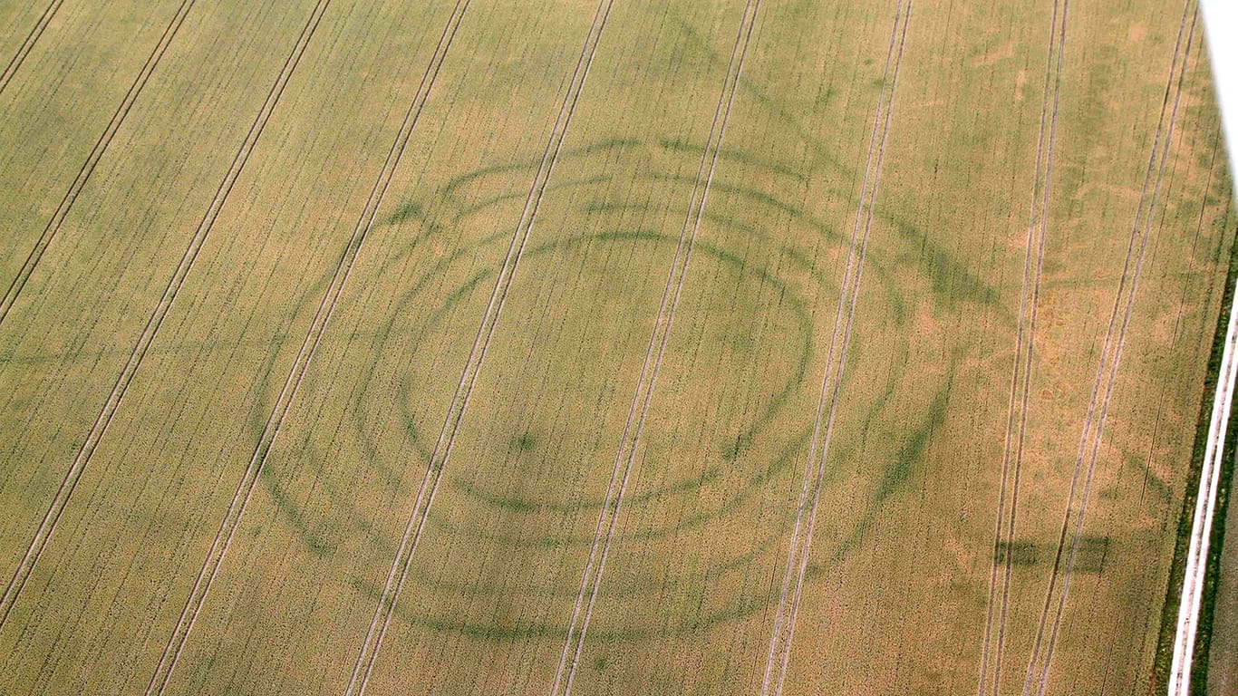7000 Jahre alt: Farbunterschiede im Getreide bringen diese Kreisgrabenanlage ans Licht.