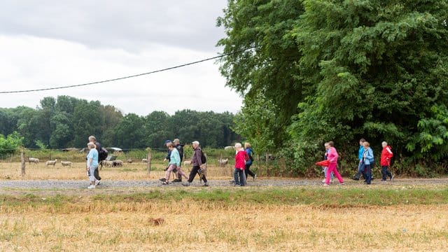 Wandern in der Gruppe.