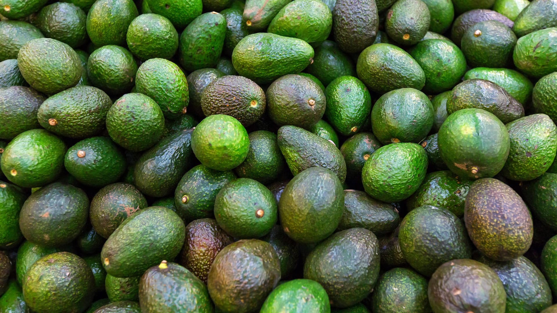 Avocados: Die Nachfrage nach der Frucht ist groß.