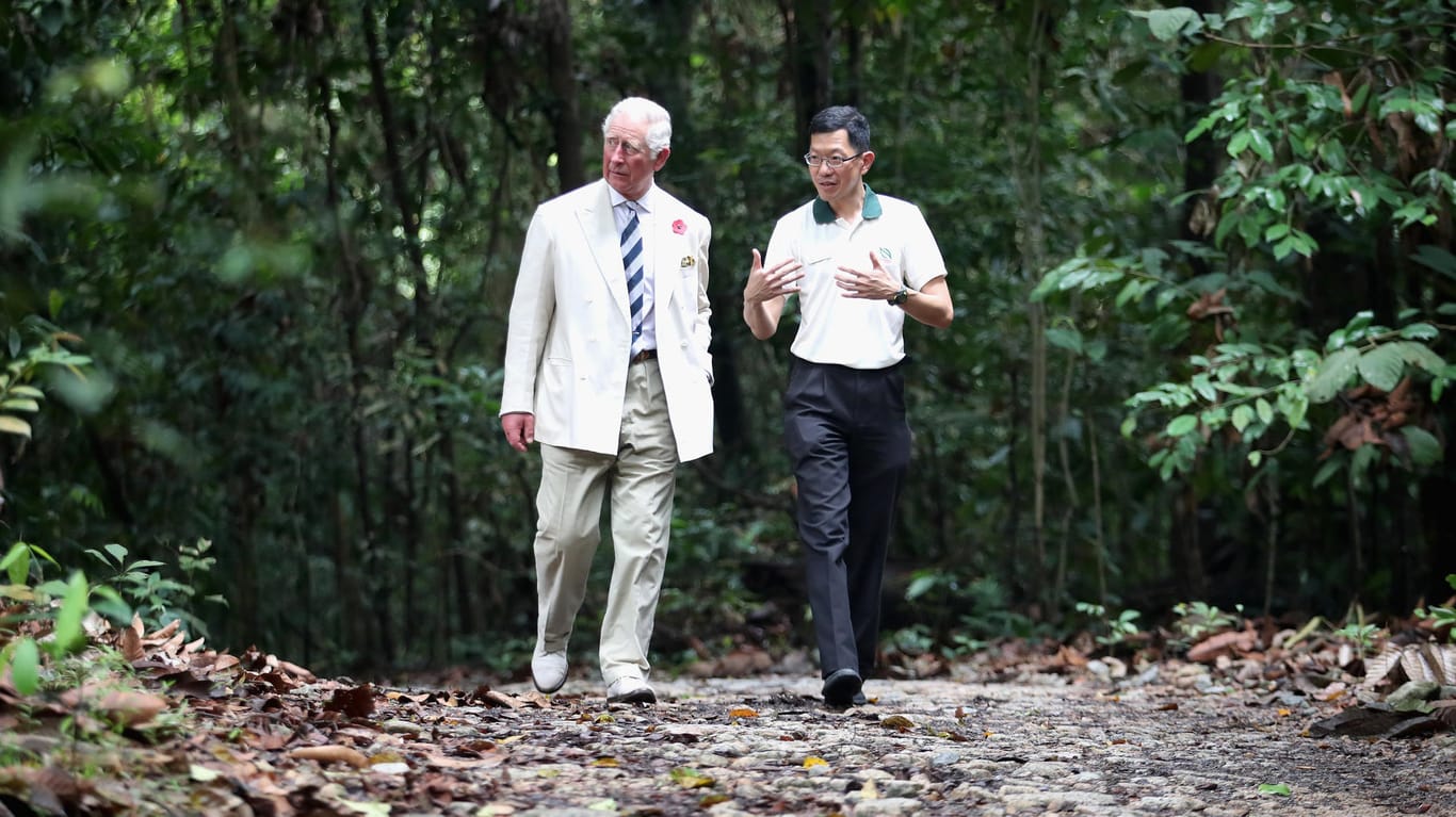 Prinz Charles lässt sich den MacRitchie Reservoir Park in Singapur zeigen: Großbritannien war einst Kolonialmacht in Singapur. Wie würde es aufgenommen, würden ehemalige Kolonialstaaten künftig Regenwald kaufen?