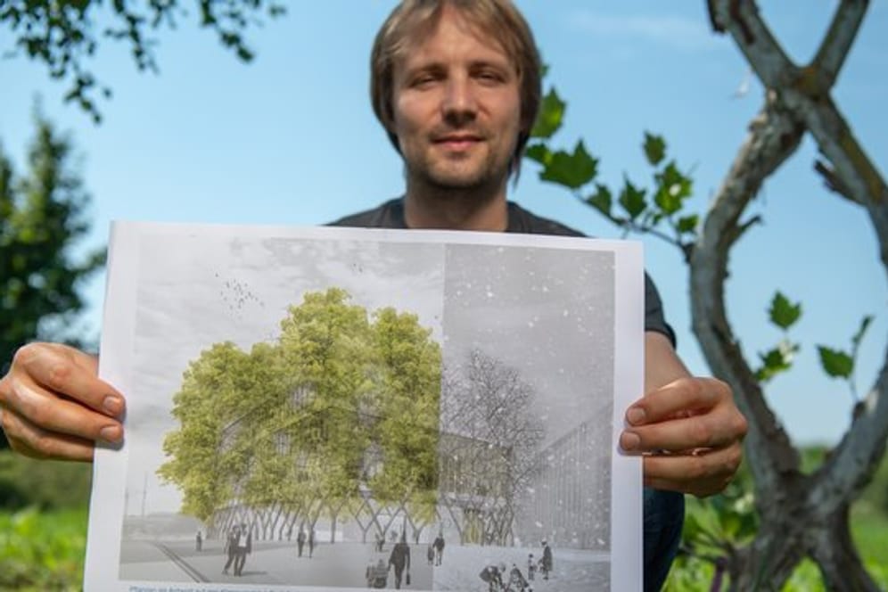 Professor Ferdinand Ludwig von der TU-Freising will Bäume und Architektur zusammenbringen.